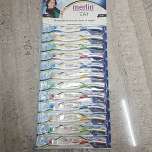 Merlin Taj tooth Brush