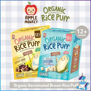 Organic rice puff original flavoured 30g